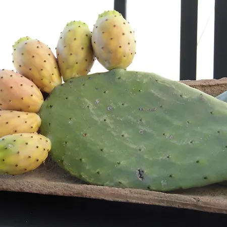 Profumo Di Zagara * Santa Venerina