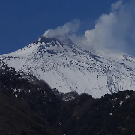 Profumo Di Zagara